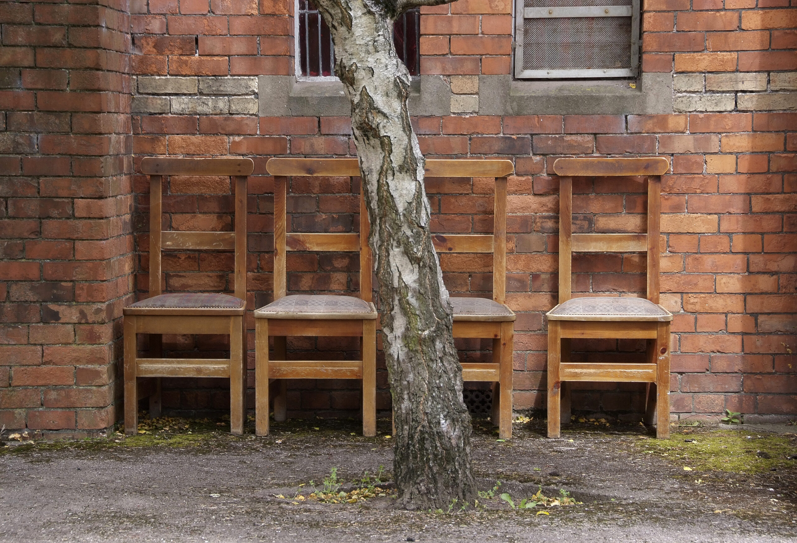 Image shown: What's the story? at St. Finbarr's