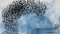 Image shown: Murmurations: A Song Cycle.